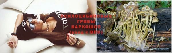 ешки Алексеевка