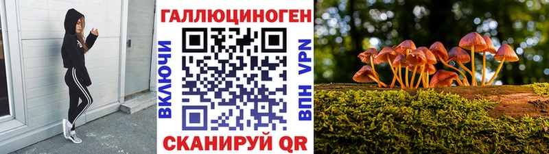 Галлюциногенные грибы Cubensis  Спасск-Рязанский 